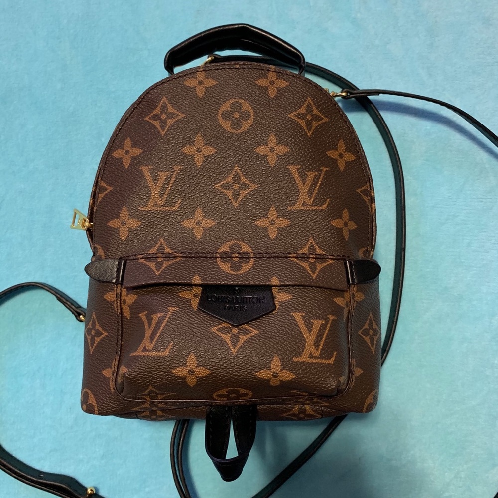 Purse backpack similar to Palm Springs Mini
